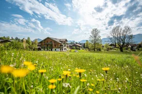 Meraviglioso appartamento adatto alle famiglie con sauna | Vista sulla montagna | Vicino alle piste da sci - Image 3