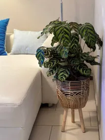Fully equipped wonderful flat | Pets allowed - Image 5