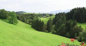 Haus Bergblick - Image 4