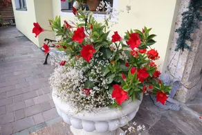 Flat with garden - Image 4