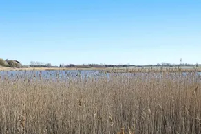 Ferienhaus mit Terrasse | Wasserblick - Image 2