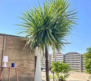 Child-friendly gite with barbeque, terrace & garden | Nature view | Beach nearby - Image 3