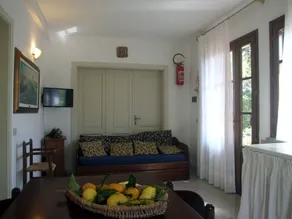 Erica - Image 4