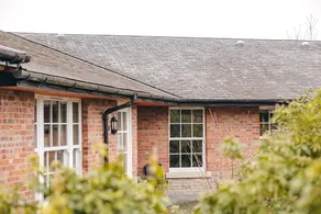 Netley Hall - Peach Tree - Image 4