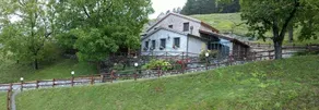 Il Rifugio del Pettirosso: Upupa - Image 5