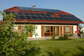 House | Pets allowed - Image 3