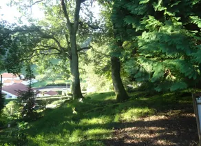 Bed & Breakfast mit Terrasse, Garten und schnellem Internet | Gartenblick - Image 5