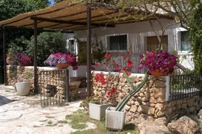 Agriturismo Duca di Castelmonte: TENDA GLAMPING - Image 5
