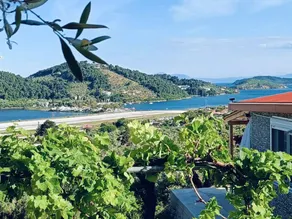 Berge und die ikonische Landebahn des Flughafens Skiathos - Image 2
