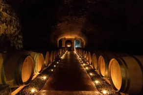 Tenuta di Ghizzano: SAN PROSPERO - Image 5