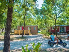 Pleasant mobile home with heated pool & terrace - Image 3
