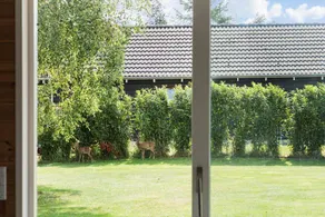 Fully equipped spacious holiday home with terrace, BBQ & sauna - Image 5