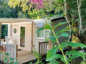 Mobil home avec terrasse et piscine chauffée - Image 4