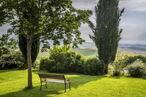 Azienda Agricola Poderuccio: Il Mandorlo - Image 3
