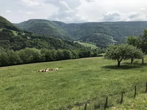 Casa totalmente attrezzata con griglia e giardino | Vista sulla montagna | Ammette animali domestici - Image 4