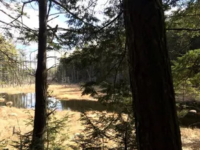 Adorable Two-Person Cabin Rental next to Schroon Lake, New York - Image 5