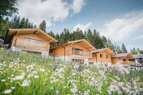 Fantástico chalet totalmente equipado con jardín | Admite perro - Image 2