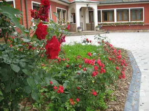 Holiday home with terrace & BBQ | Garden view - Image 5
