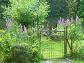 Wonderful flat with garden & barbeque | Sea view | Pet-friendly - Image 3
