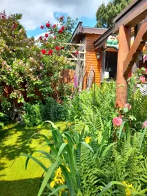 House with terrace, barbecue & garden - Image 3