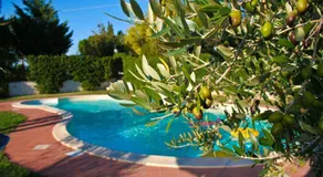San Vito - Agriturismo Biologico: Camera doppia - Image 4