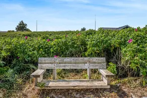 Holiday home with terrace, garden & BBQ - Image 3