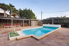 Palmeras - Image 2