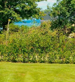 Maison adaptée aux familles avec barbecue, sauna et terrasse | Avec animaux acceptés - Image 2