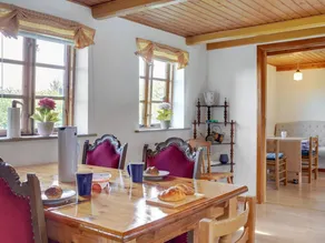 Child-friendly holiday home with terrace | Pet-friendly - Image 4
