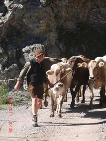 Appartamento accogliente e familiare | Accetta animali domestici - Image 5