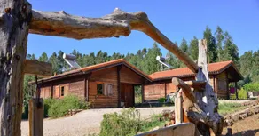 Cozy studio in Figueiró dos Vinhos 56 m with shared pool - Image 2