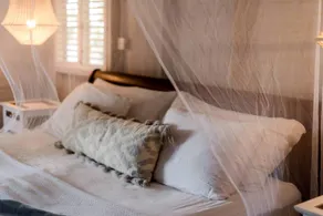 Chic Private Vacation Rental with Breakfast and Indoor Jacuzzi in Barbados - Image 2