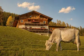 Ferienwohnung "Peilstein" auf dem Innerdurachhof mit See- und Bergblick - Image 3