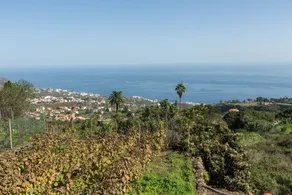 Child-friendly holiday home with terrace, garden & BBQ | Sea view - Image 2