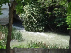 Apartment with garden & barbecue - Image 2