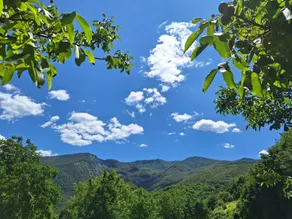 AGRITURISMO LA CASTELLINA - IL FIENILE - SAN GODENZO - ALTO MUGELLO - ANFITEATRO NATURALE A POCHI PASSI DAL PARCO NAZIONALE FORESTE CASENTINESI - Image 4