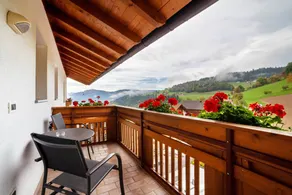 Zimmer 'Klausthaler 24' mit Bergblick, Gemeinschaftsterrasse und Wi-Fi - Image 2