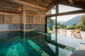 Chalet mit Terrasse, privatem Pool und Sauna | Seeblick | Ideal für Homeoffice - Image 4