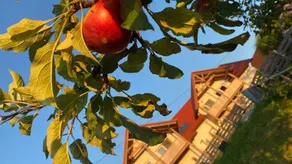 Family-oriented beautiful flat with terrace, sauna & garden | Mountain view - Image 4