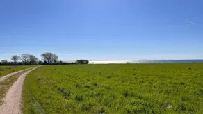 Charming house with terrace, barbecue & sauna | Beach nearby - Image 3