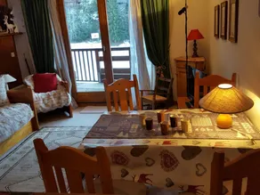 Ski-in Studio, South, Parking, Pets Allowed - Image 2