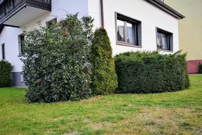 Holiday home | Pet-friendly - Image 3