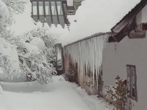 Spaziosa casa totalmente attrezzata con sauna, giardino e griglia | Vista sulla natura - Image 4