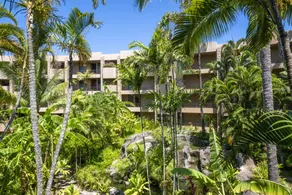 Paki Maui #318 - Image 3