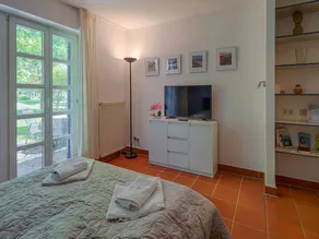 Klassik 1-Raum Appartement mit Terrasse - Image 3