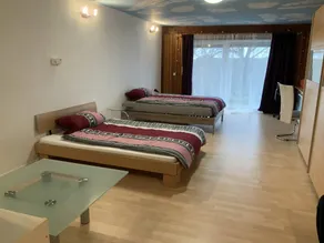Child-friendly dedicated room with sauna, terrace & barbeque | Garden view | Pets allowed - Image 2