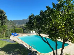 Masseria con barbecue, giardino e terrazza | Vista sul giardino - Image 2