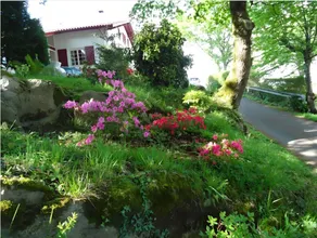 Bed & Breakfast mit Terrasse, Garten und schnellem Internet | Gartenblick - Image 2