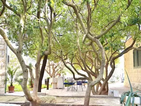 Holiday apartment with terrace & garden - Image 5