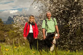 Untertrotnerhof: Appartamento Catinaccio - Rosengarten - Image 3